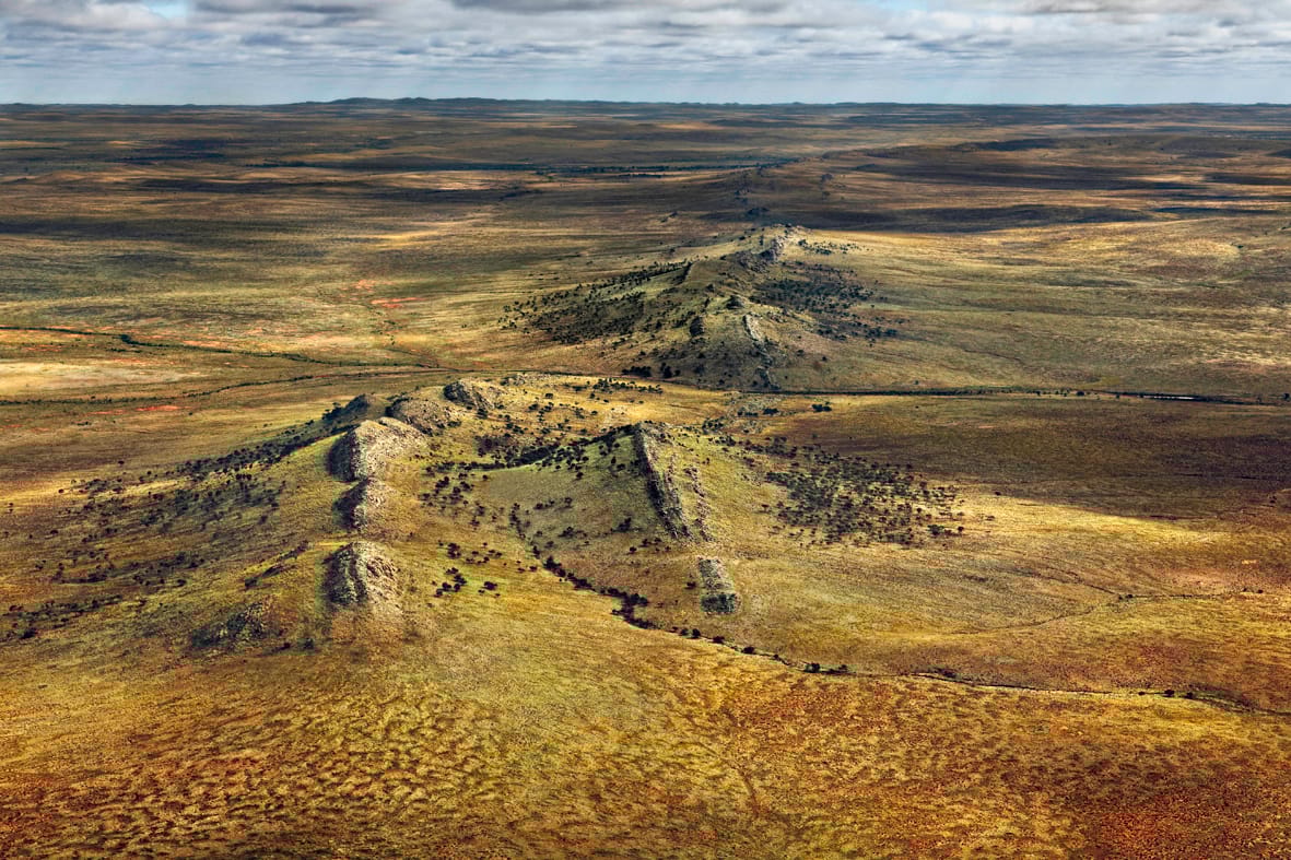 The Green Desert