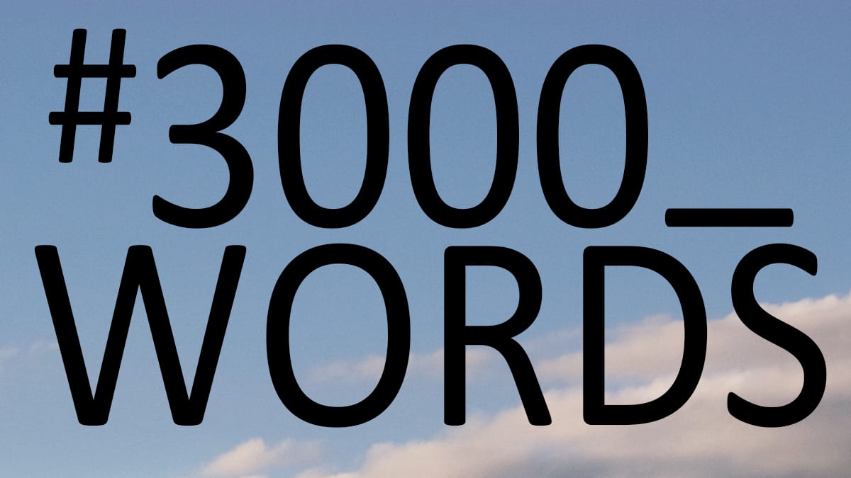 #3000_WORDS