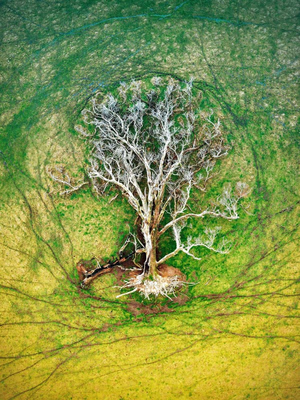Head On Environmental Awards by Australian Geographic
