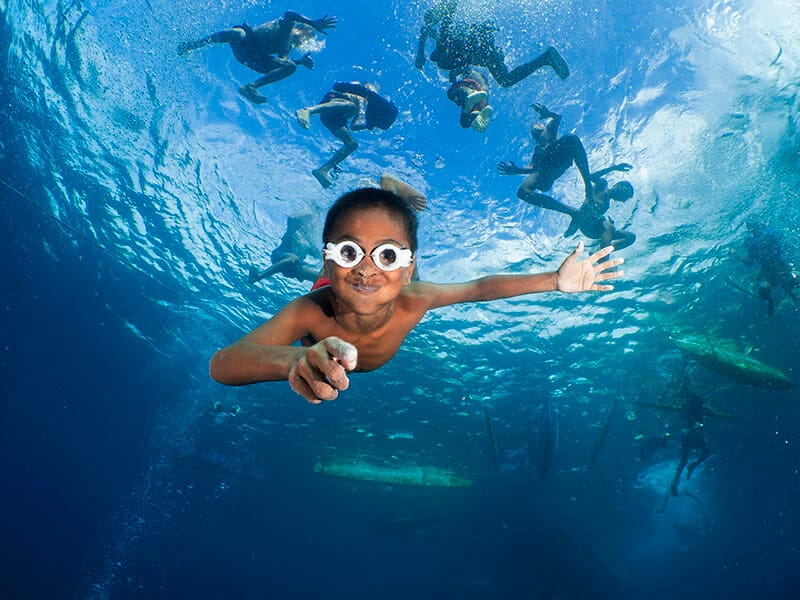 A group of people competing for the title of Ocean Photographer of the Year 2023, wearing goggles in the water.