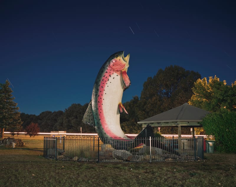 The Big Trout, Adaminaby, NSW