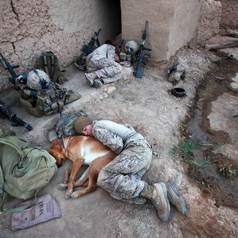 US troop lying with a dog in Afghanistan