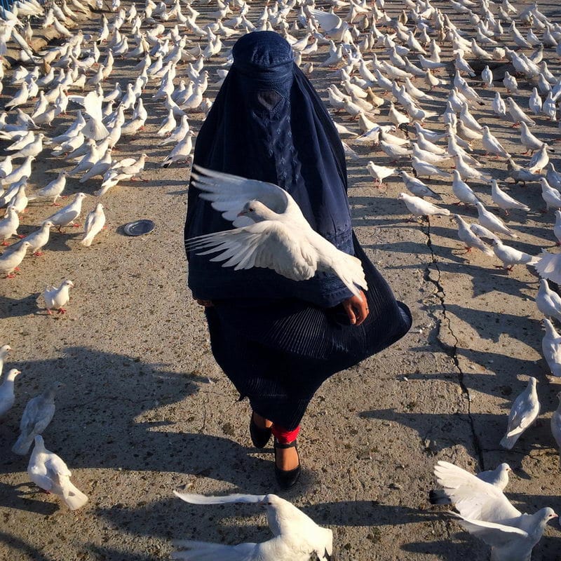 Female wearing a burqa surrounded by white pigeons